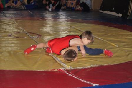 Районный турнир по вольной борьбе 